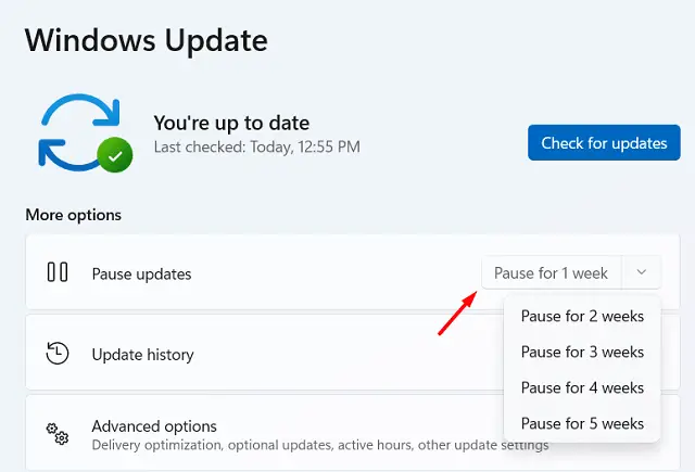 Pause Windows 11 Updates