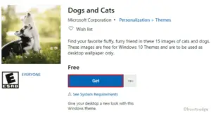 Dogs and Cats Windows 10 Theme