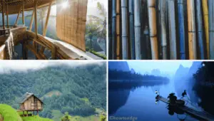 World of Bamboo Premium Windows 10 Theme