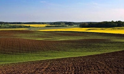 Latvian Landscapes