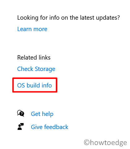 check running Windows 10 Build version - OS Build info