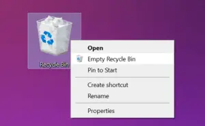 Can't delete files from Recycle Bin