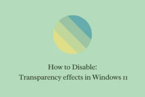 How to Disable Transparency effects in Windows 11