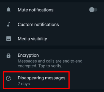 Send Disappearing Messages on WhatsApp Settings