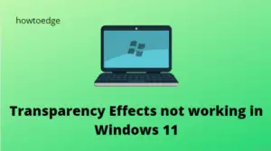 Fix Transparency Effects not working in Windows 11