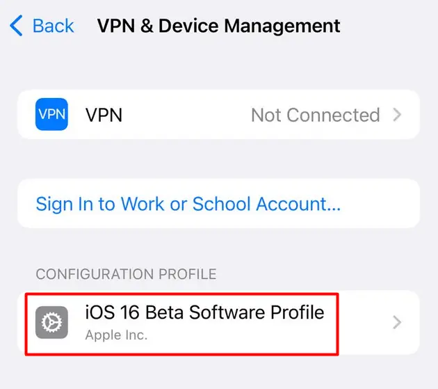 iOS 16 Developer Beta Profile