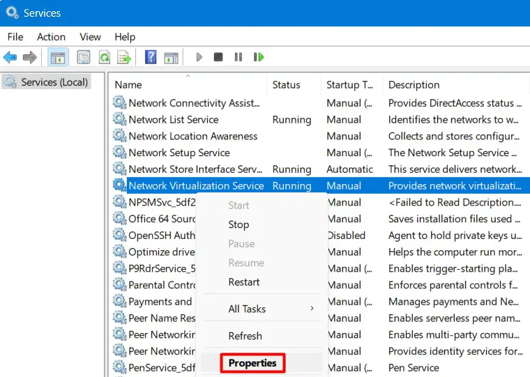 Network Virtualization Service Properties