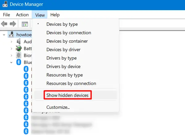 Show hidden devices under Device Manager