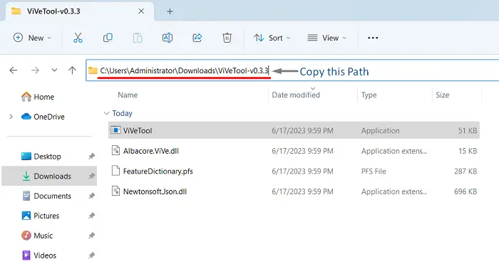 Copy the system path of extracted ViveTool