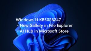 Windows 11 KB5028247