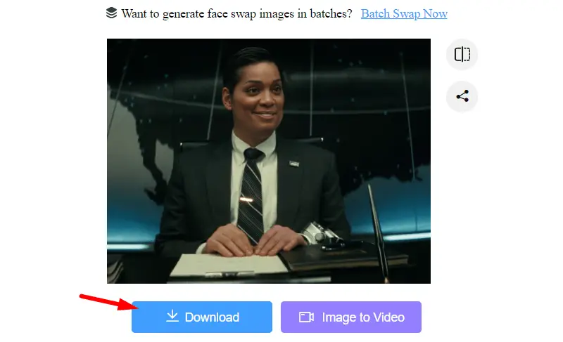 Download Face Swapped Images